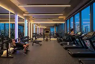 Gymnasium